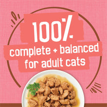 Load image into Gallery viewer, Purina Friskies Extra Gravy Chunky with Salmon