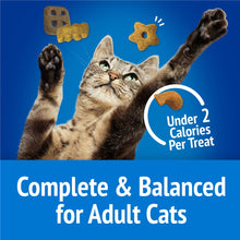 Load image into Gallery viewer, Friskies Partymix Beach Side Crunch