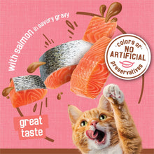 Load image into Gallery viewer, Purina Friskies Extra Gravy Chunky with Salmon