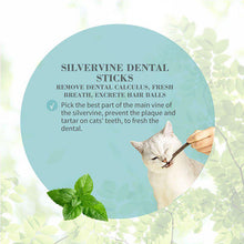 Load image into Gallery viewer, Bioline Silverine Dental Sticks