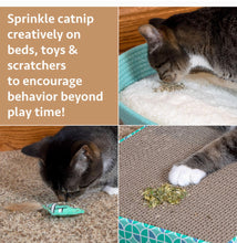 Load image into Gallery viewer, All Natural Catnip