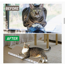 Load image into Gallery viewer, Scratching Board