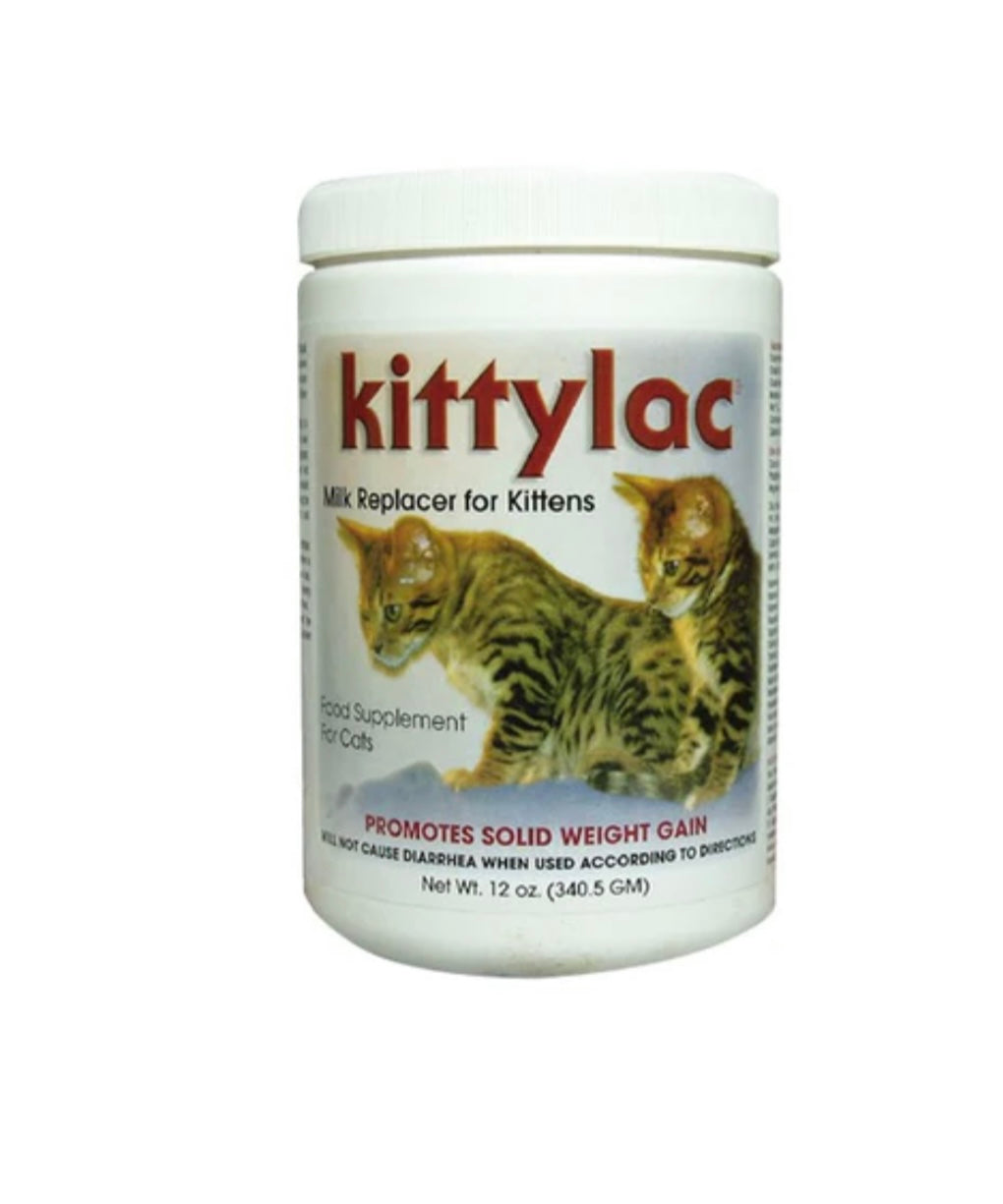 Cat milk outlet supplement