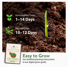 Load image into Gallery viewer, Cat Grass Seeds