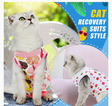 Load image into Gallery viewer, Cat Recovery Suits