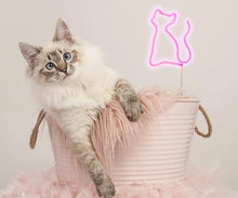 Load image into Gallery viewer, Neon Cat Light -Pink
