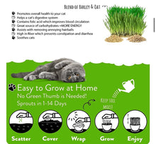 Load image into Gallery viewer, Cat Grass Seeds