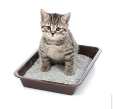 Load image into Gallery viewer, Toi Moi Clumping Litter