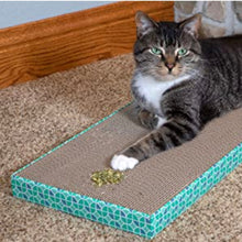 Load image into Gallery viewer, All Natural Catnip