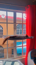 Load image into Gallery viewer, Window Perch/Hammock/Bed