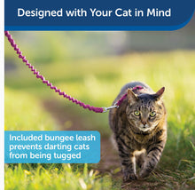 Load image into Gallery viewer, PETSAFE harness and leash