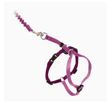 Load image into Gallery viewer, PETSAFE harness and leash