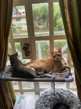 Load image into Gallery viewer, Window Perch/Hammock/Bed