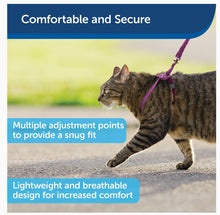 Load image into Gallery viewer, PETSAFE harness and leash