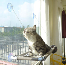 Load image into Gallery viewer, Window Perch/Hammock/Bed