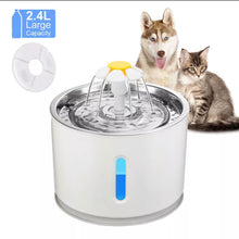 Load image into Gallery viewer, Water fountain