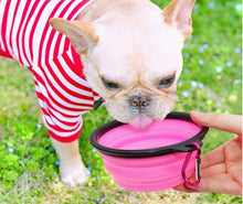 Load image into Gallery viewer, Travel Pet Bowl