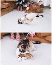 Load image into Gallery viewer, Cat Teaser Wand