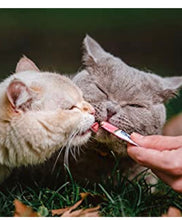 Load image into Gallery viewer, Churu Creamy Cat Treat- Lickable