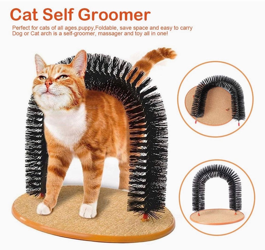 Arch groomer for outlet cats