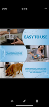 Load image into Gallery viewer, Dental Fresh water additive 8oz