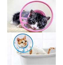 Load image into Gallery viewer, Recovery cone / Collar