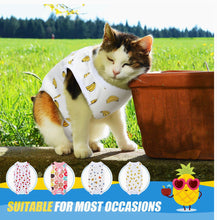 Load image into Gallery viewer, Cat Recovery Suits