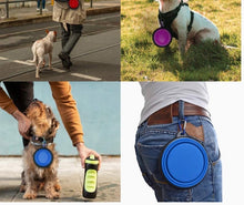 Load image into Gallery viewer, Travel Pet Bowl