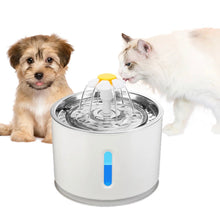 Load image into Gallery viewer, Water fountain