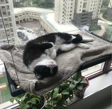 Load image into Gallery viewer, Window Perch/Hammock/Bed