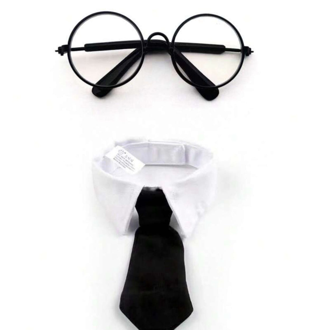 Corporate cat costume