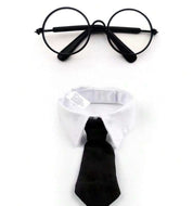 Corporate cat costume