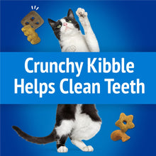 Load image into Gallery viewer, Friskies Partymix Beach Side Crunch
