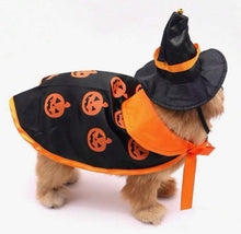 Load image into Gallery viewer, Wizard/Witch Costume : Hat &amp; Cloak Set
