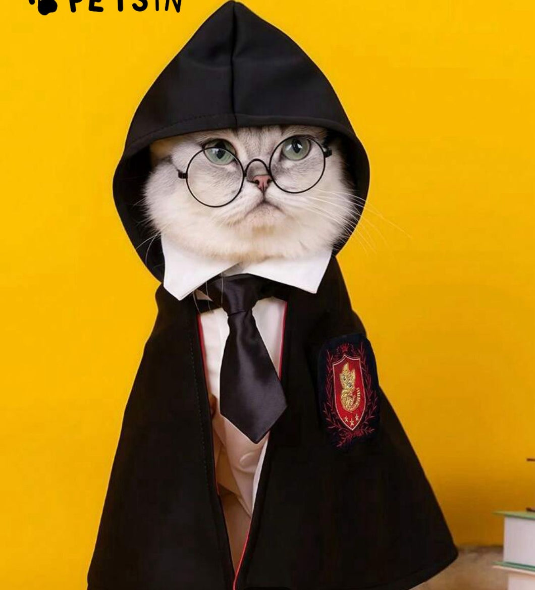 Harry Potter Themed costume