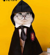 Harry Potter Themed costume