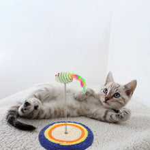 Load image into Gallery viewer, Target And Spring Cat Toy
