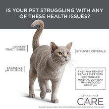 Load image into Gallery viewer, Diamond Care Urinary Support Formula 6lbs

