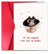 Christmas Cards-cat