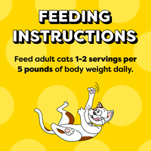 Load image into Gallery viewer, Temptations Wet Adult Cat Food

