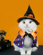 Wizard/Witch Costume : Hat & Cloak Set