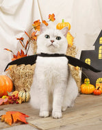 Halloween bat wings Costume
