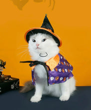 Load image into Gallery viewer, Wizard/Witch Costume : Hat &amp; Cloak Set
