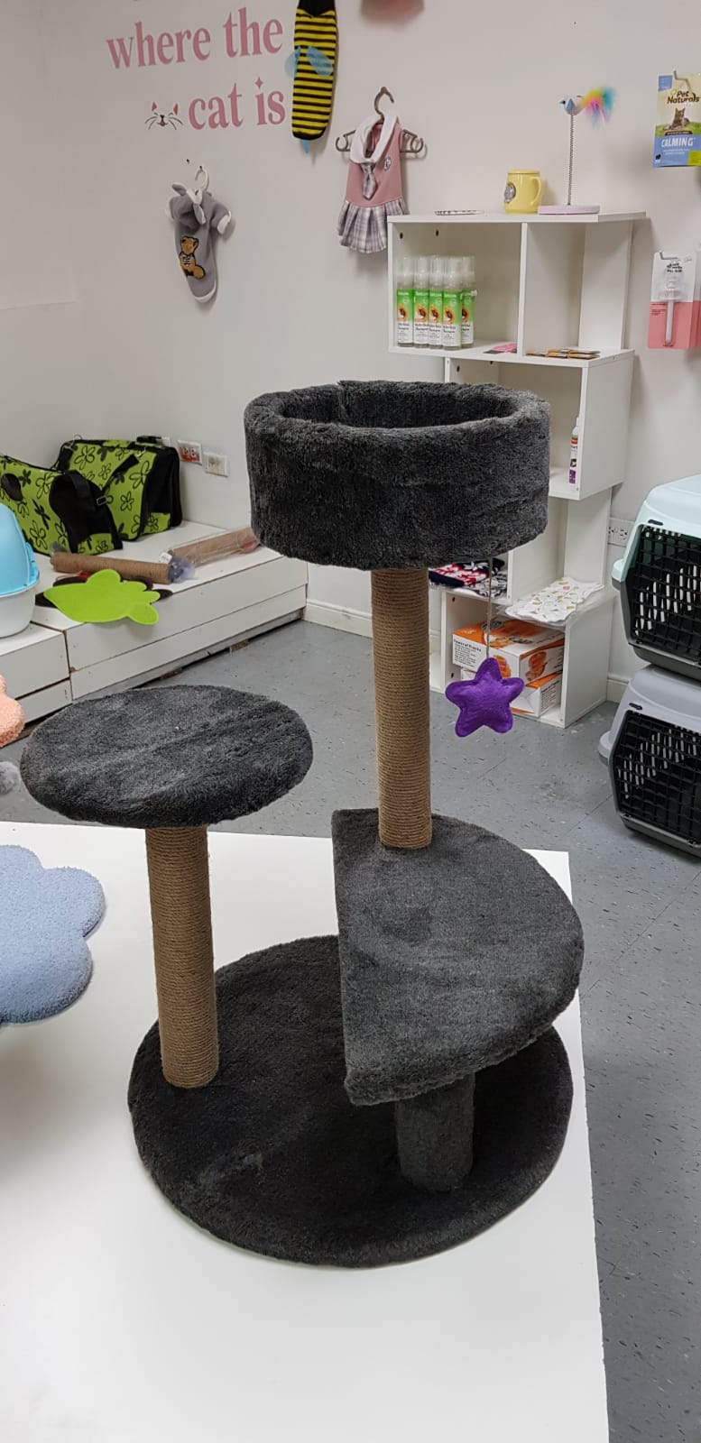 Cat Tree with hanging star
