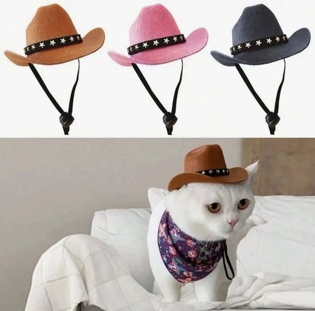 Cowboy Hat costume