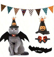 Halloween Witch costume