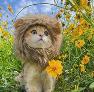 Lions Mane costume