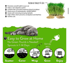 Load image into Gallery viewer, Cat Grass Seeds
