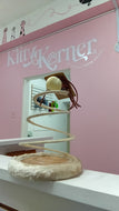 Sping Teaser Cat Toy