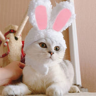 Easter bunny Ears